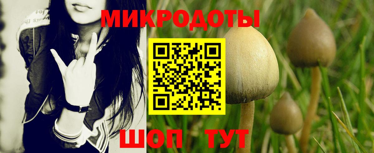 купить наркотик  Псилоцибиновые грибы мицелий  Вход с VPN  Новошахтинск 